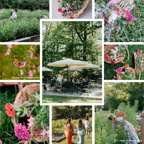 2026 U Pick Flowers Square Social Media Size