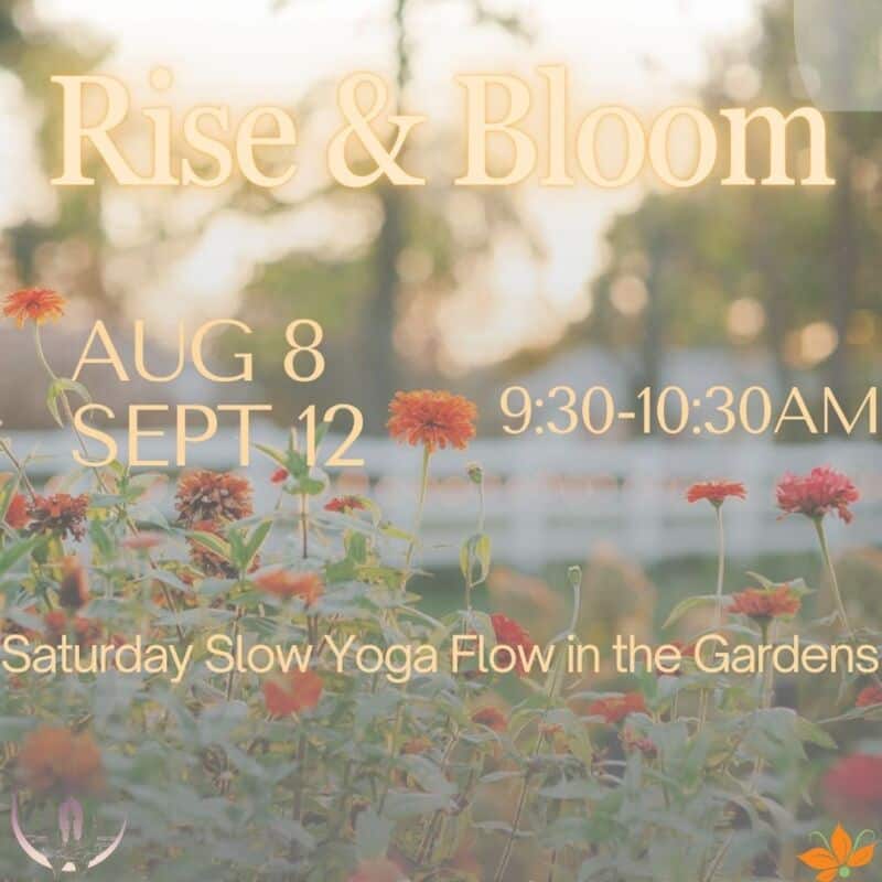 Rise & bloom