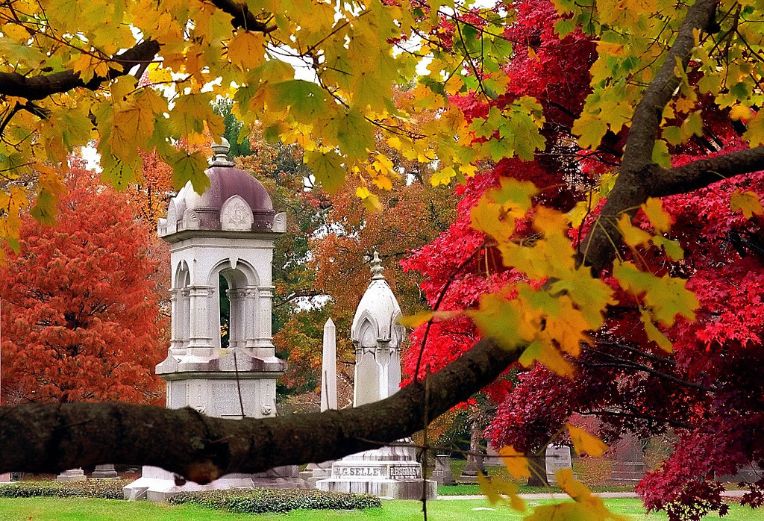 spring grove cemetery arboretum