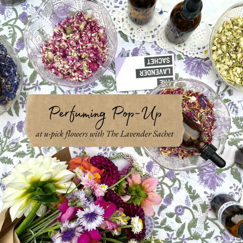 Perfuming Pop Up (1)