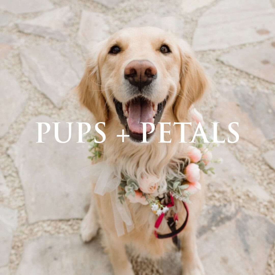 Pups + Petals