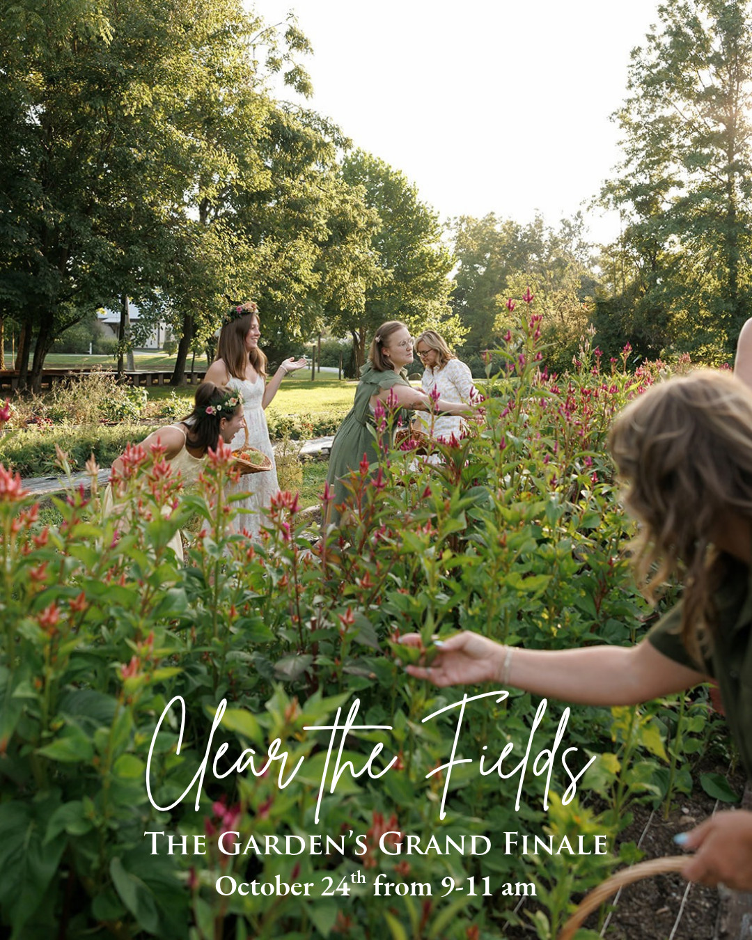 Clear the Fields (1)